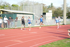 Enlarge photo 291
