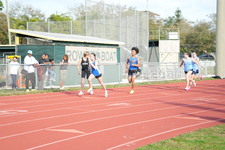 Enlarge photo 290