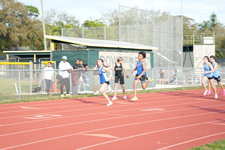 Enlarge photo 293