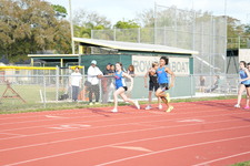 Enlarge photo 294