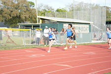 Enlarge photo 295