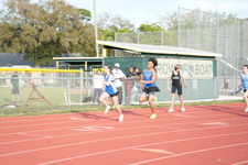Enlarge photo 296