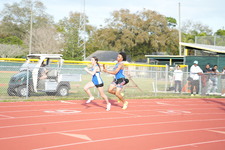 Enlarge photo 301