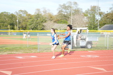 Enlarge photo 305