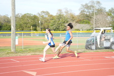 Enlarge photo 307