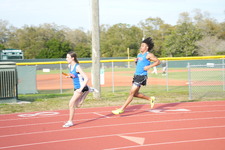 Enlarge photo 310