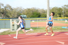 Enlarge photo 312