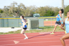 Enlarge photo 313