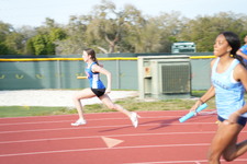 Enlarge photo 314