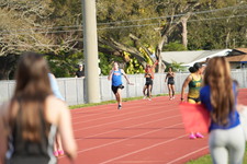 Enlarge photo 338