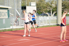 Enlarge photo 355