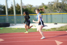 Enlarge photo 372