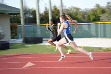 Enlarge photo 373