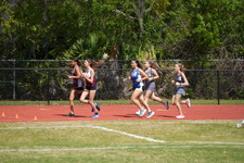 Enlarge photo 174