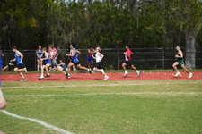 Enlarge photo 49