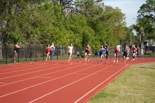 Enlarge photo 81