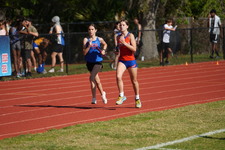Enlarge photo 59