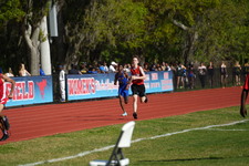 Enlarge photo 170