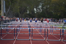 Enlarge photo 121