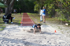 Enlarge photo 239
