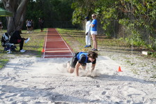 Enlarge photo 241