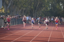 Enlarge photo 246