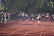 Enlarge photo 247