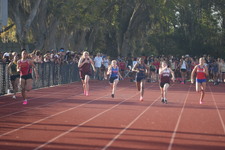 Enlarge photo 248