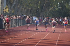 Enlarge photo 252