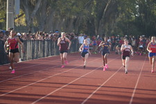 Enlarge photo 257