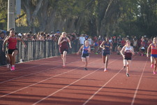 Enlarge photo 258