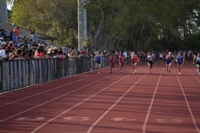 Enlarge photo 288