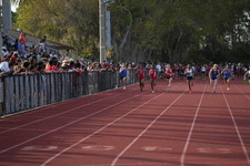 Enlarge photo 290