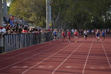 Enlarge photo 291
