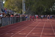 Enlarge photo 294