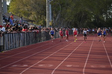 Enlarge photo 296