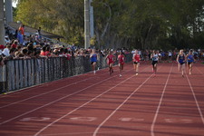 Enlarge photo 298