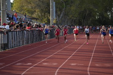 Enlarge photo 302