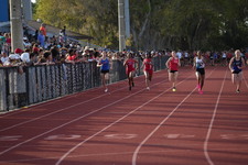 Enlarge photo 305