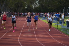 Enlarge photo 313