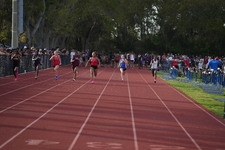 Enlarge photo 330