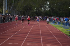 Enlarge photo 331
