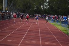 Enlarge photo 335