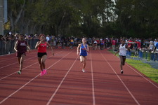 Enlarge photo 337
