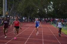 Enlarge photo 344