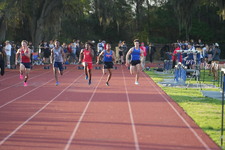 Enlarge photo 359
