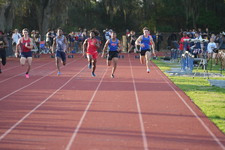 Enlarge photo 363