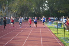 Enlarge photo 368