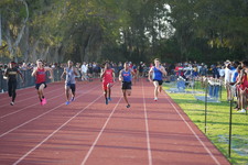 Enlarge photo 370