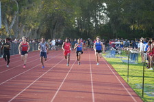 Enlarge photo 371